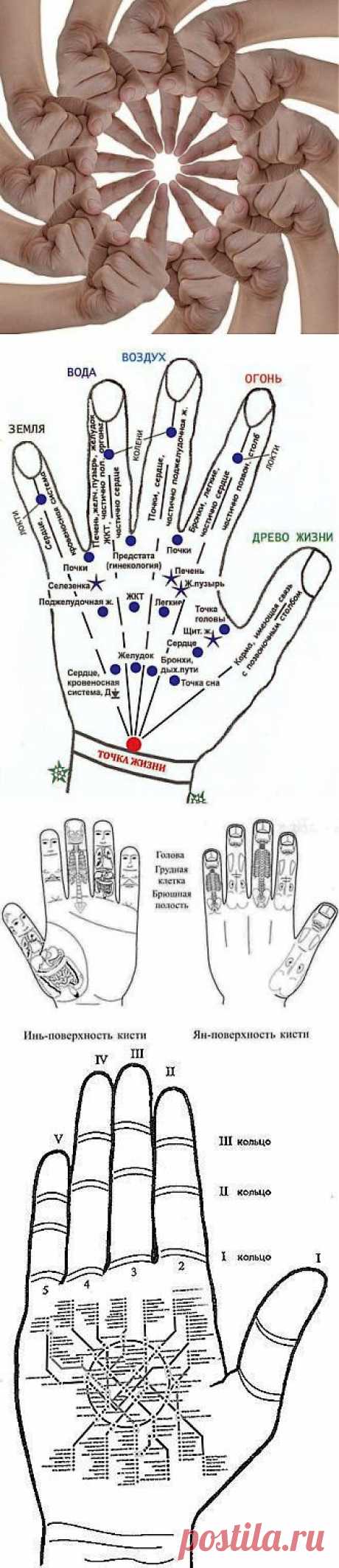 ДВИЖЕНИЯ ПАЛЬЦАМИ СПОСОБНЫ ВЫЗВАТЬ ПЕРЕМЕЩЕНИЕ ЭНЕРГИИ ВНУТРИ ОРГАНИЗМА... | Познавательный сайт ,,1000 мелочей&quot;