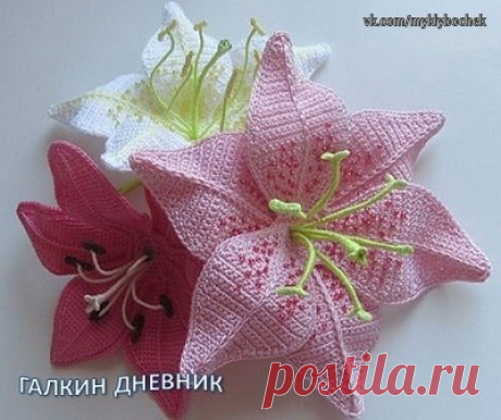 Лилии крючком
#вязание #крючком

Из остатков пряжи, можно связать не только коврик, но и такие красивые цветы, как эти лилии.

Показать полностью…