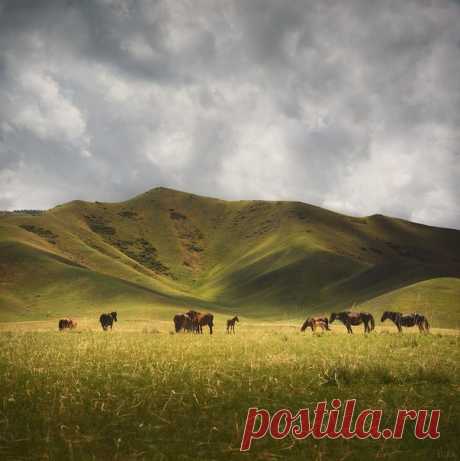 Алматинская область, Казахстан. Автор фото: Александр Ра.