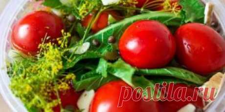 (+2) Квашеные помидоры : Овощные блюда : Кулинария : Subscribe.Ru