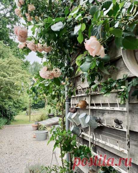 Французский сельский дом с красивым садом и аутентичным интерьером в самом сердце Нормандии | House tour - экскурсии по домам | Дзен