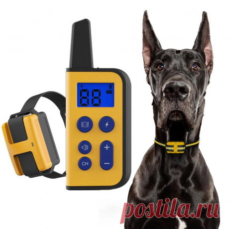 Zanlure 875m remote control dog training caller ip68 waterproof pet dog training caller for 15-100lbs dogs Sale - Banggood.com