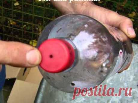 CÓMO HACER LA HUERTA VERTICAL DE BOTELLAS DE PLÁSTICO