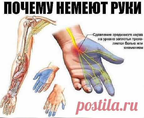 Почему немеют руки: 7 причин, заставляющих задуматься о здоровье. 
Каждому человеку не раз приходилось сталкиваться с ощущением потери чувствительности ноги или руки, сопровождающимся легким покалыванием или жжением. Зачастую это происходит из-за временного нарушения кровообращения в конечности вследствие сдавливания сосудов и нервных окончаний. Стоит начать двигаться или сменить положение, и чувствительность восстанавливается. 
И всё-таки неудобное положение во время сна,...