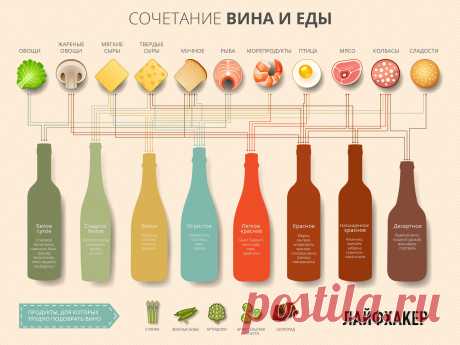 Как подобрать вино к еде - Сочетание вина и еды