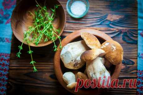 Наконец-то белые грибы! Три любимых блюда из нашего леса: грибной шашлык, чипсы из сырых грибов и грибы в рубашке | Дом с Котом | Яндекс Дзен