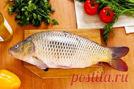 Блюда из полезной и вкусной речной рыбы / Простые рецепты