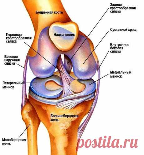 Это скрывали все хирурги! Так лечатся суставы дома за сутки