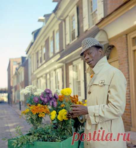 1964. Nat King Cole poses for a portrait session - p3078 | PastYears.info