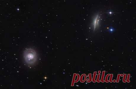 Дуэт в Ките: M77 и NGC 1055 / Популярная астрономия