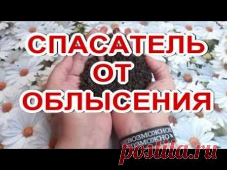 ⛔Не Смывать! Бесплатное Самое Сильное Средство от Облысения! Для Быстрого Роста Волос!