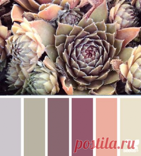 Design Seeds® | find your palette