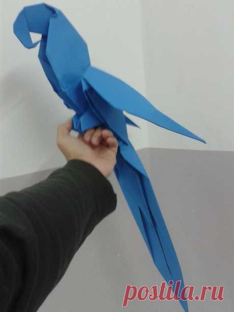 Оригами птица: схемы, инструкции и описание этапов изготовления для начинающих