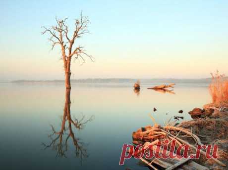 Лучшие фотографии National Geographic за сентябрь 2011 » Бяки.нет