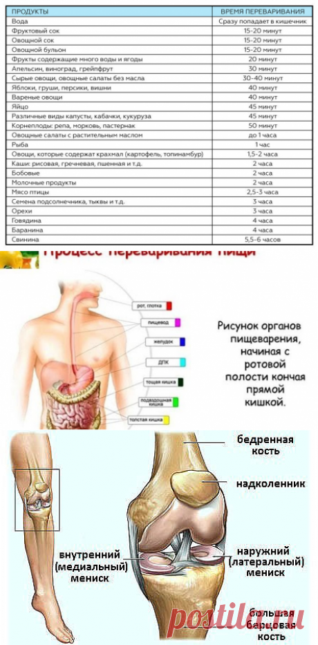 (1) Одноклассники