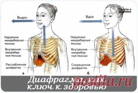 Познавательный сайт ,,1000 мелочей&quot;