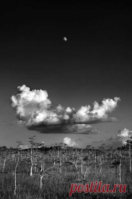 Moonrise. by Clyde Butcher | чёрно белый нюанс