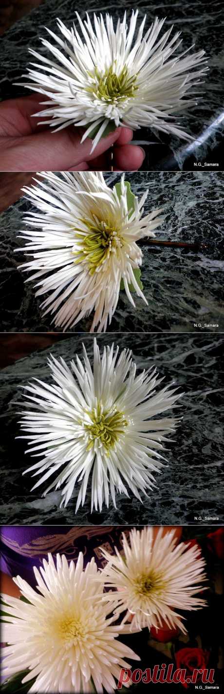Цветы из фоамирана (пористой резины)