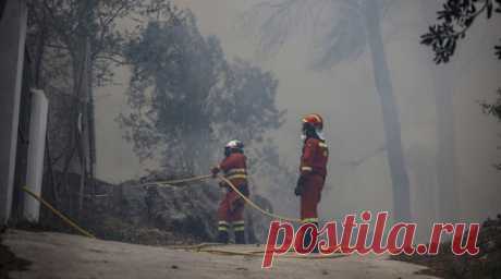 В Испании из-за лесного пожара эвакуировали более 800 человек. Более 800 человек были эвакуированы из-за лесного пожара в автономном сообществе Валенсия. Читать далее