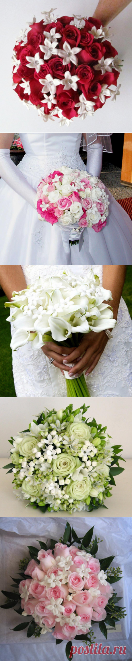 Стефанотисы в букете невесты
Стефанотис или мадагаскарский жасмин, также он известен под названием «цветок невесты» или «лоза фаты».
Букет с этими цветами подойдет нежной, утонченной невесте, создаст ощущение легкости и романтичности свадебного образа.
Стефанотис бывает только белого цвета. Обильно цветет и, согласно приметам, приносит удачу. Эти очаровательные, крошечные цветы обладают сказочным ароматом и цветут с весны до осени.