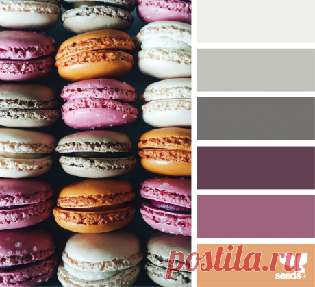 design seeds | macaron hues | for all who ♥ color