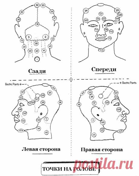 Схема точек для проведения Хиджамы