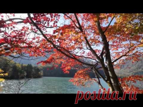 Игорь Крутой - Осенняя соната (Igor Krutoy - Autumn Sonata) - YouTube