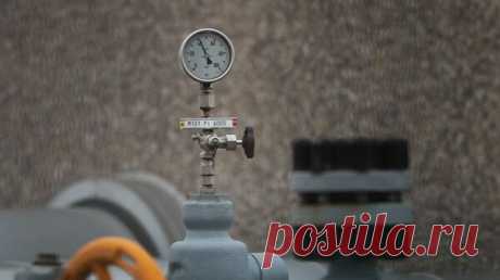 В Австрии выразили опасения из-за прекращения поставок российского газа