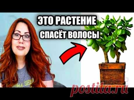 (227) Бесплатно! Это есть у всех! Мощное Средство от Облысения! Быстрый рост Густых волос - YouTube