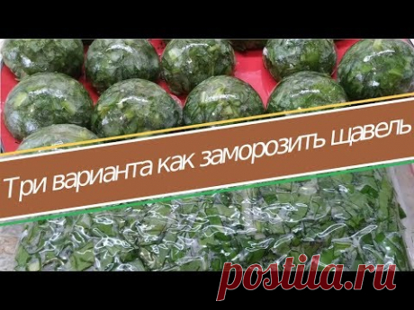 ТРИ ВАРИАНТА как заморозить щавель на зиму. Выбирайте! - YouTube