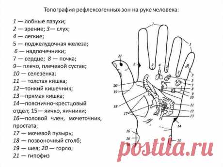 Важно понимать ценность снаТочки здоровья на пальцах
Точки на большом пальце соответствуют за сердце и легкие. Учащенное сердцебиение можно постепенно исправить с помощью массажа этого пальца.
Указательный палец Отвечает за работу ЖКТ. Боли в животе, трудности при пищеварении можно легко преодолеть, массируя указательный палец.
Средний палец Циркуляция крови - его забота. При тошноте, головокружении или бессоннице просто помассируй средний палец.
Безымянный палец Этот пале...