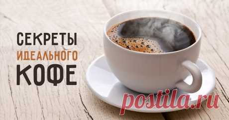 Как приготовить идеальный кофе: 7 секретов от бариста;)) — Готовим дома