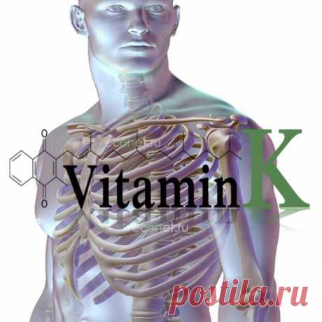 Витамин К2: здоровые кости и сердце - ПолонСил.ру - социальная сеть здоровья - 7 марта - 43155159768 - Медиаплатформа МирТесен Сейчас много обсуждают некоторые незаменимые питательные вещества, витамины и минералы, такие как витамин D и омега-3 жирные кислоты. Но в последнее время исследователи начинают признавать, что упускают из виду один витамин, значение которого зачастую понимается неверно. По сути, значительная часть - 7 марта - 43155159768 - Медиаплатформа МирТесен