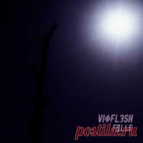 Vioflesh - Falls (2024) [Single] Artist: Vioflesh Album: Falls Year: 2024 Country: Chile Style: Synthpop, Electropop, Darkwave
