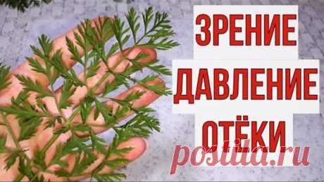 Выпил кружку и забыл о плохом зрении, давлении, отёках и ещё о ста болезнях