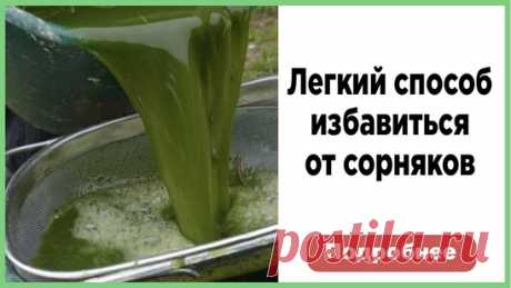 Эффективные методы борьбы с сорняками: 5 простых шагов к избавлению от сорняков на участке
| обустройство дачи