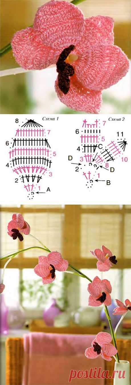 Орхидея крючком (+ схема) | Женское хобби