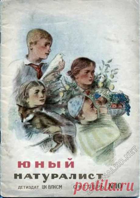 Юный Натуралист 1938-10