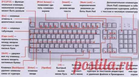 описание клавиш клавиатуры, клавиши на клавиатуре, назначение клавиш на клавиатуре | Полезные советы интернета