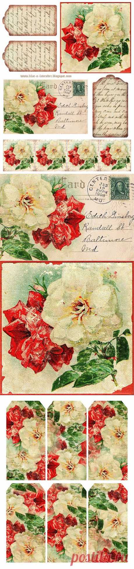 Сирень и Лаванда: Венценосная с розами