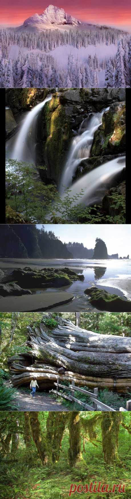 Национальный парк Олимпик (Olympic National Park), США | Newpix.ru - позитивный интернет-журнал