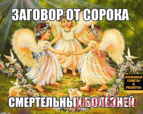 Молитвы от  сорока болезней от сглаза и другие.