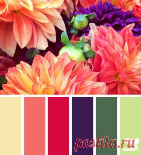 Design Seeds® | find your palette