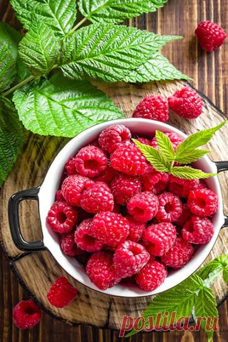 Peizaji - Scapes, morningfood: Raspberry