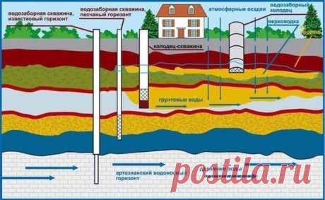 Дедовский способ поиска воды на участке | СТРОИТЕЛЬ | Яндекс Дзен