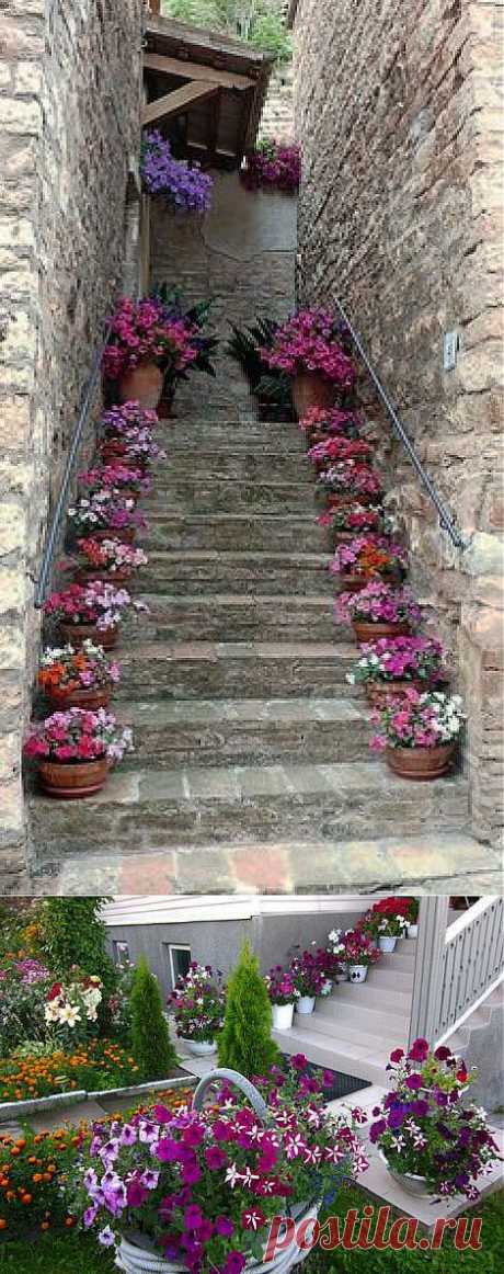 Как оформить лестницу цветами! - Ландшафт - Обустройства участка