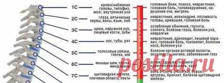 Михаил massage
45 лет, Россия, Владимир