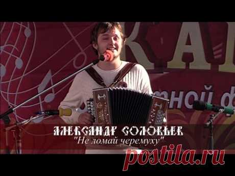 Александр Соловьев - Не ломай черемуху