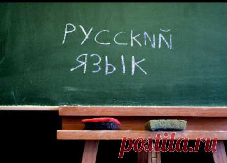 Что замечают за собой иностранцы, слишком долго живущие в России - НОВОСТИ В ФОТОГРАФИЯХ - медиаплатформа МирТесен