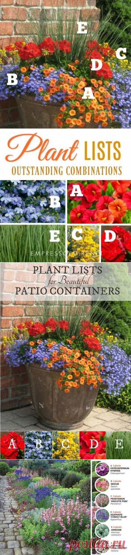 Beautiful patio plants 26+ Ideas